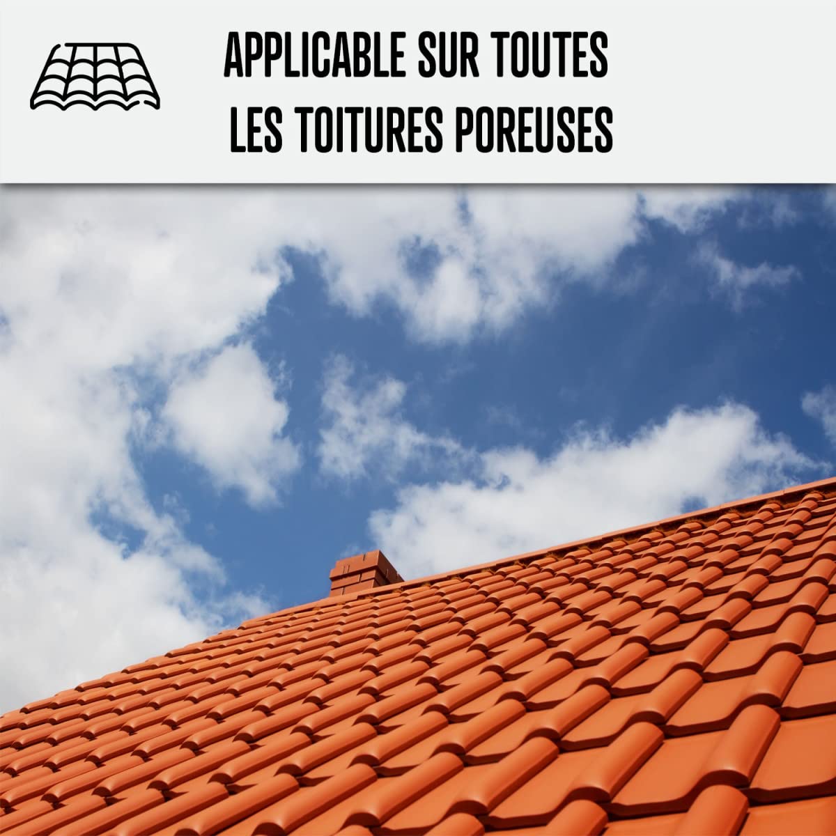 Colorless Waterproof Roof Coating for Porous Surfaces - IMPERTOITURE HYDRO - 5L (Covers 25m²) - ARCANE INDUSTRIES | Waterproof Sealant for Flat Roofs, Concrete & Masonry | DIY Home Repair & Weather Protection