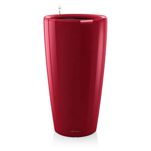 Scarlet Red High-gloss