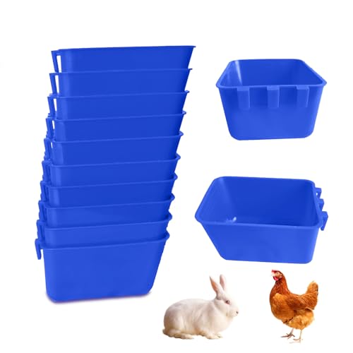 Blue Square 10 packs 16oz