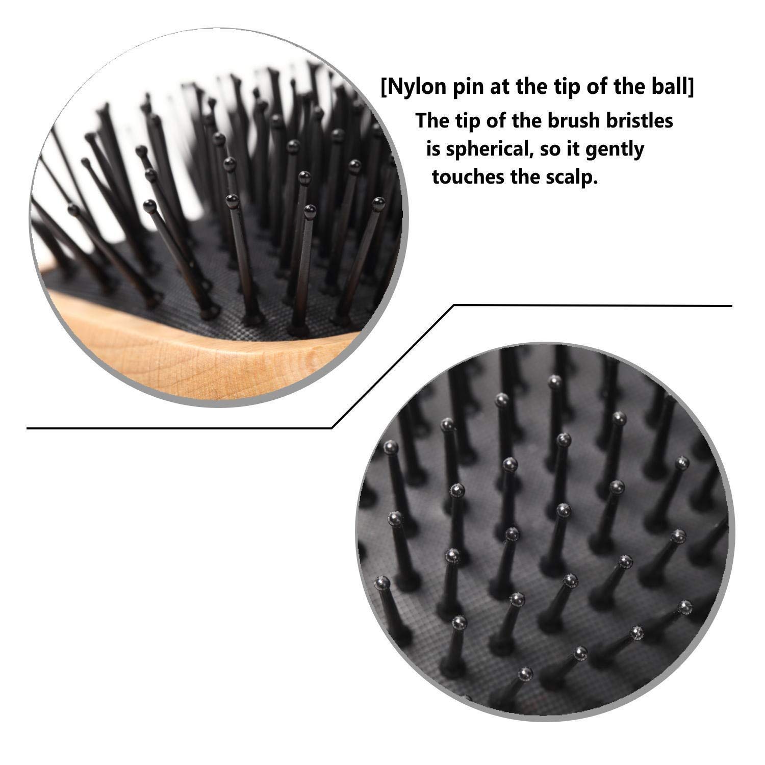 CARAPACE Square Paddle Hair Brush Set - Detangling & Scalp Massage Brush for Women, Men & Kids with Thin, Long or Curly Hair | Perfect for Daily Styling, Salon Use & Travel Essentials