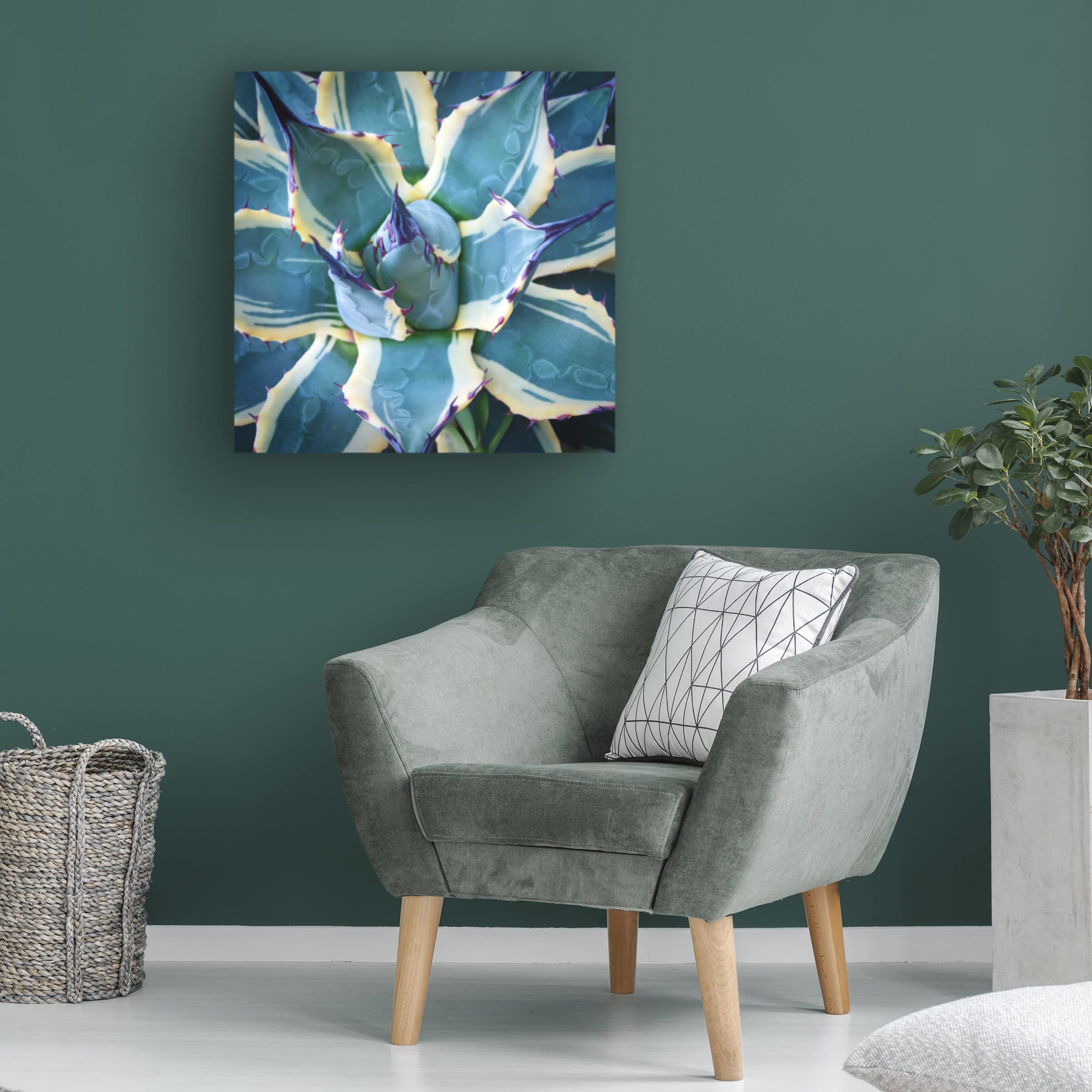 Trademark Fine Art 'Elegant Thorns' Canvas Wall Art by Jan Bell - Floral Home Decor for Living Room, Bedroom & Office