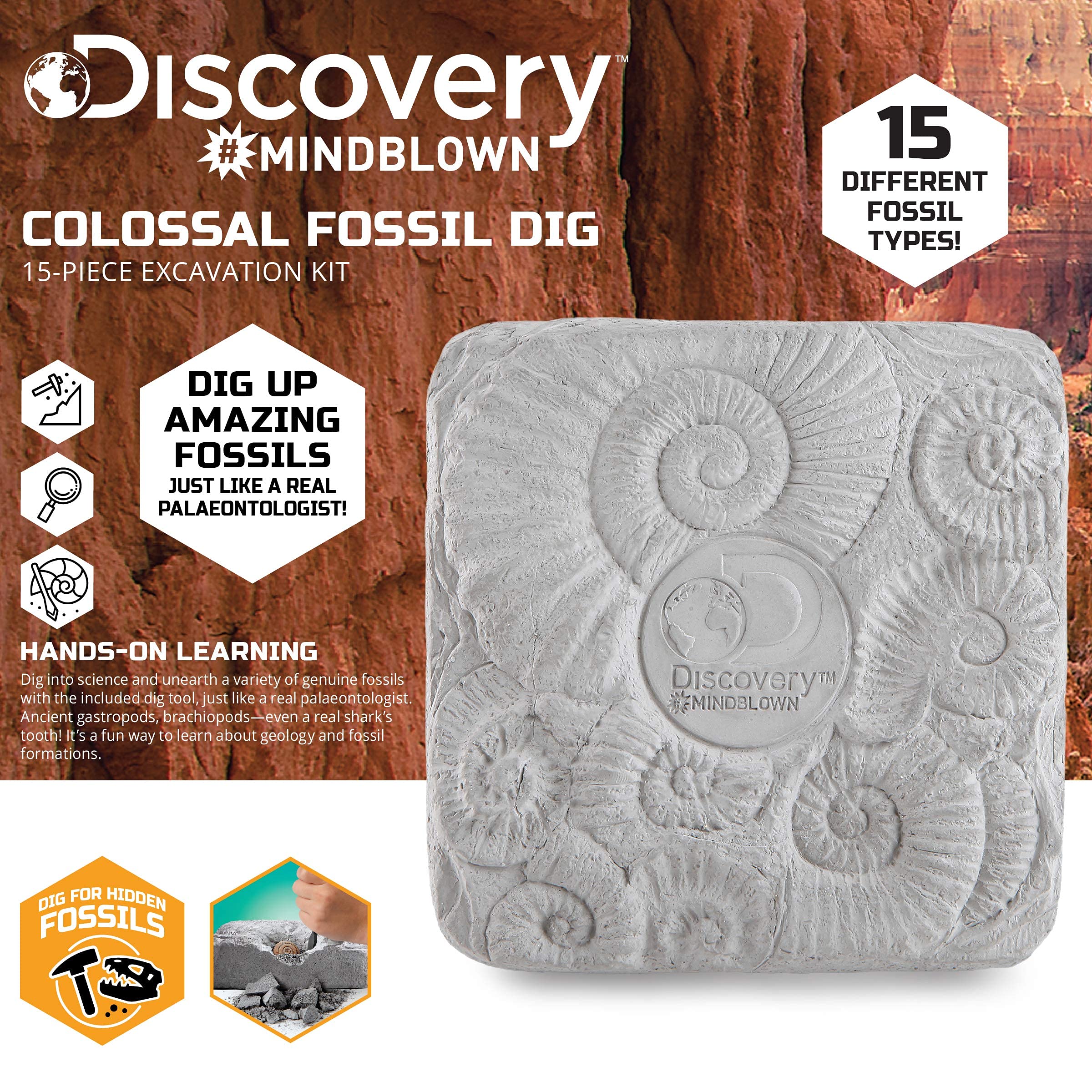 Discovery #MINDBLOWN Colossal Fossil Dig Kit - 15-Piece Archaeology Excavation Set with Real Shark Teeth & Unique Fossils - STEM Educational Toys for Kids - Perfect for Science Projects & Birthday Gifts