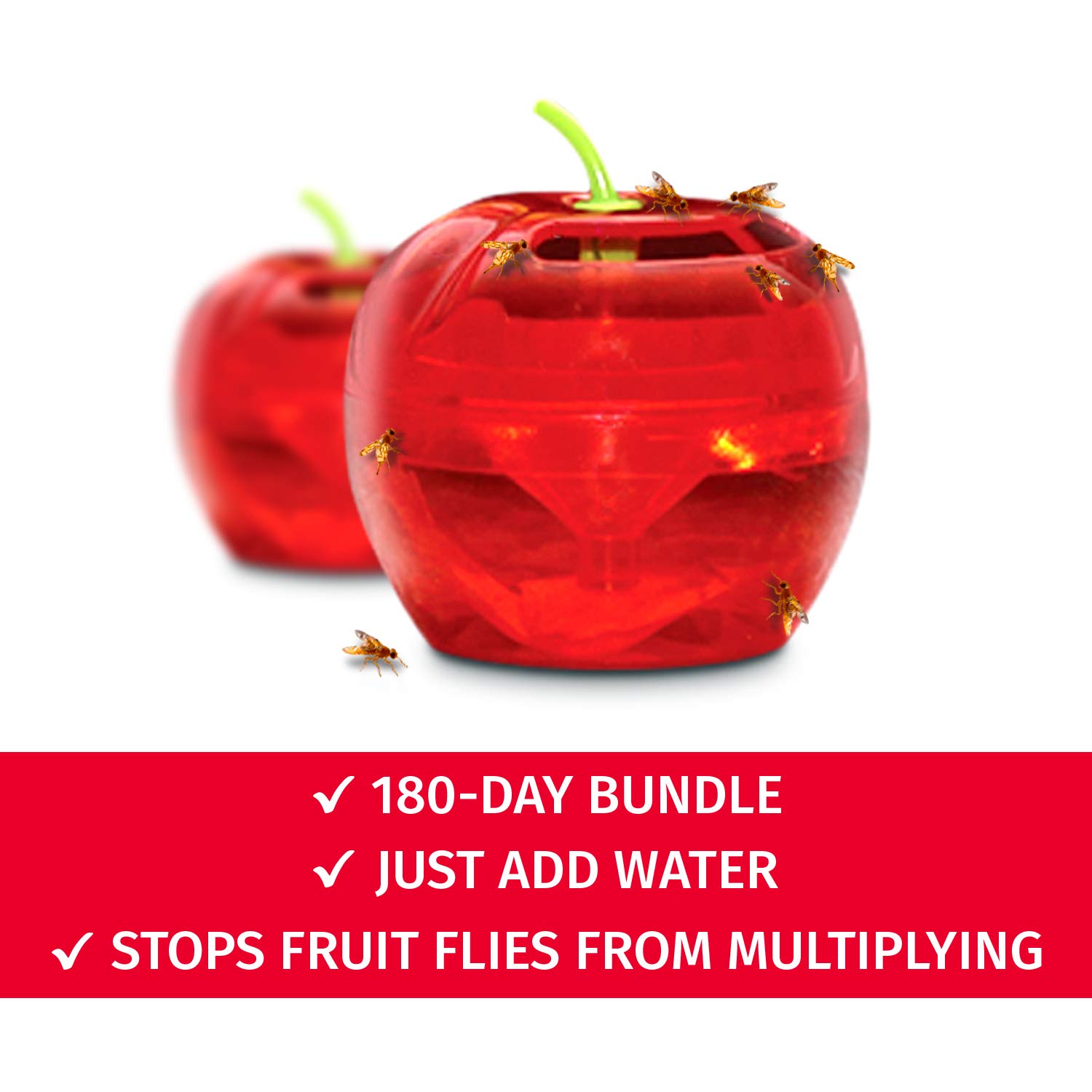 Raid Indoor Fruit Fly Traps with 2 Lures & 2 Refills - Safe Food-Based Fly Catcher for Kitchen, Bathroom - Effective Gnat Killer for Home Use | Easy to Use & Non-Toxic Fruit Fly Control Solution