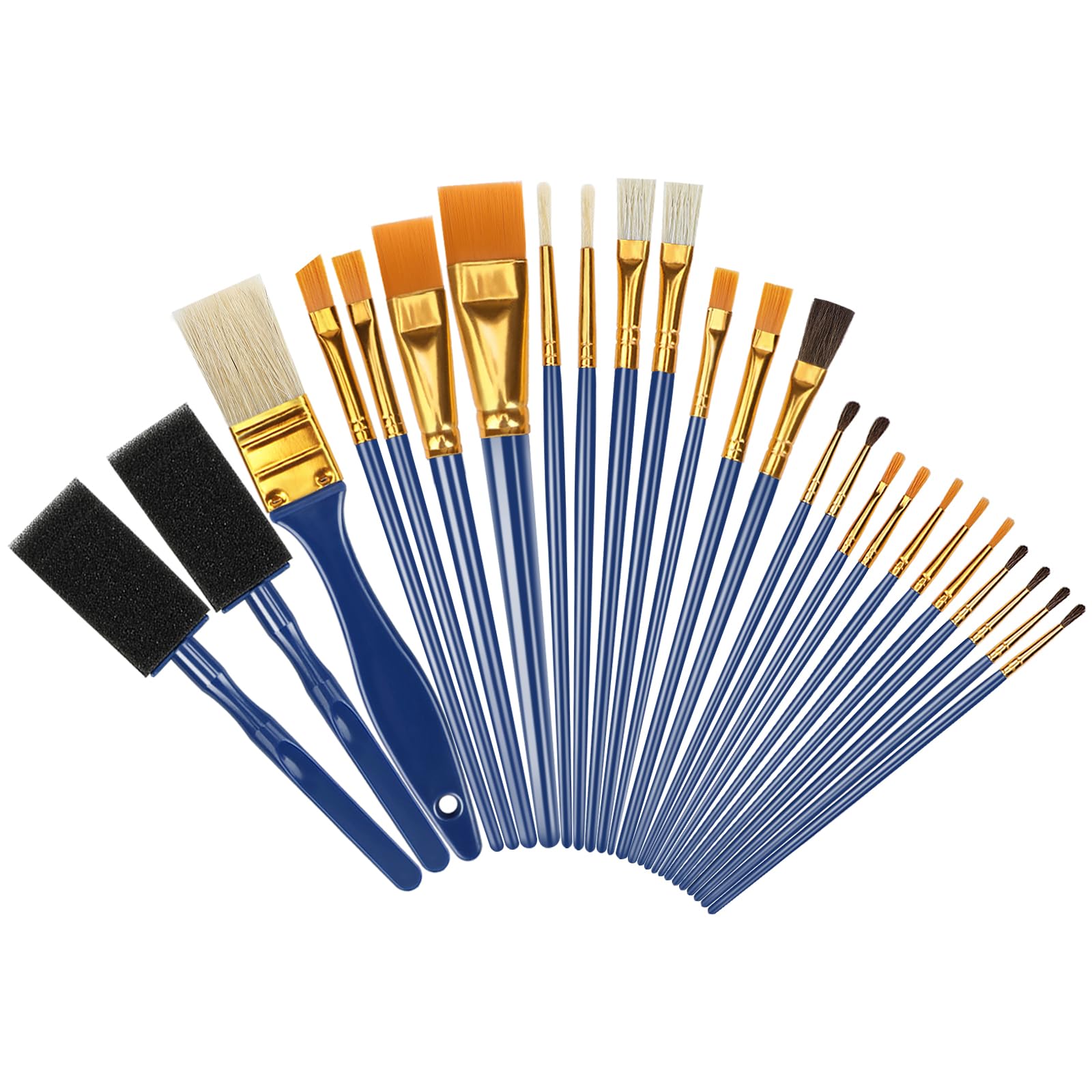 Halobios 25 Pcs Paint Brushes Set - Professional Acrylic, Oil & Watercolor Paint Brushes for Kids, Beginners & Artists - Perfect for Canvas, Paper & DIY Art Projects