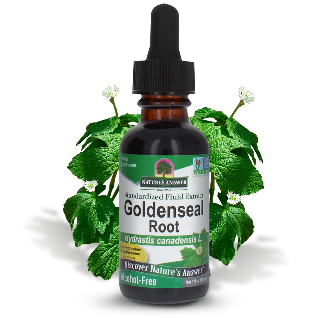 Nature's Answer Goldenseal Root Herbal Supplement - Immune System Support, Gluten-Free & Alcohol-Free (1oz) - Ideal for Daily Wellness & Natural Immune Boost