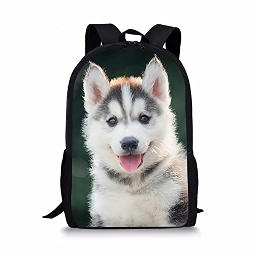 Siberian Puppy