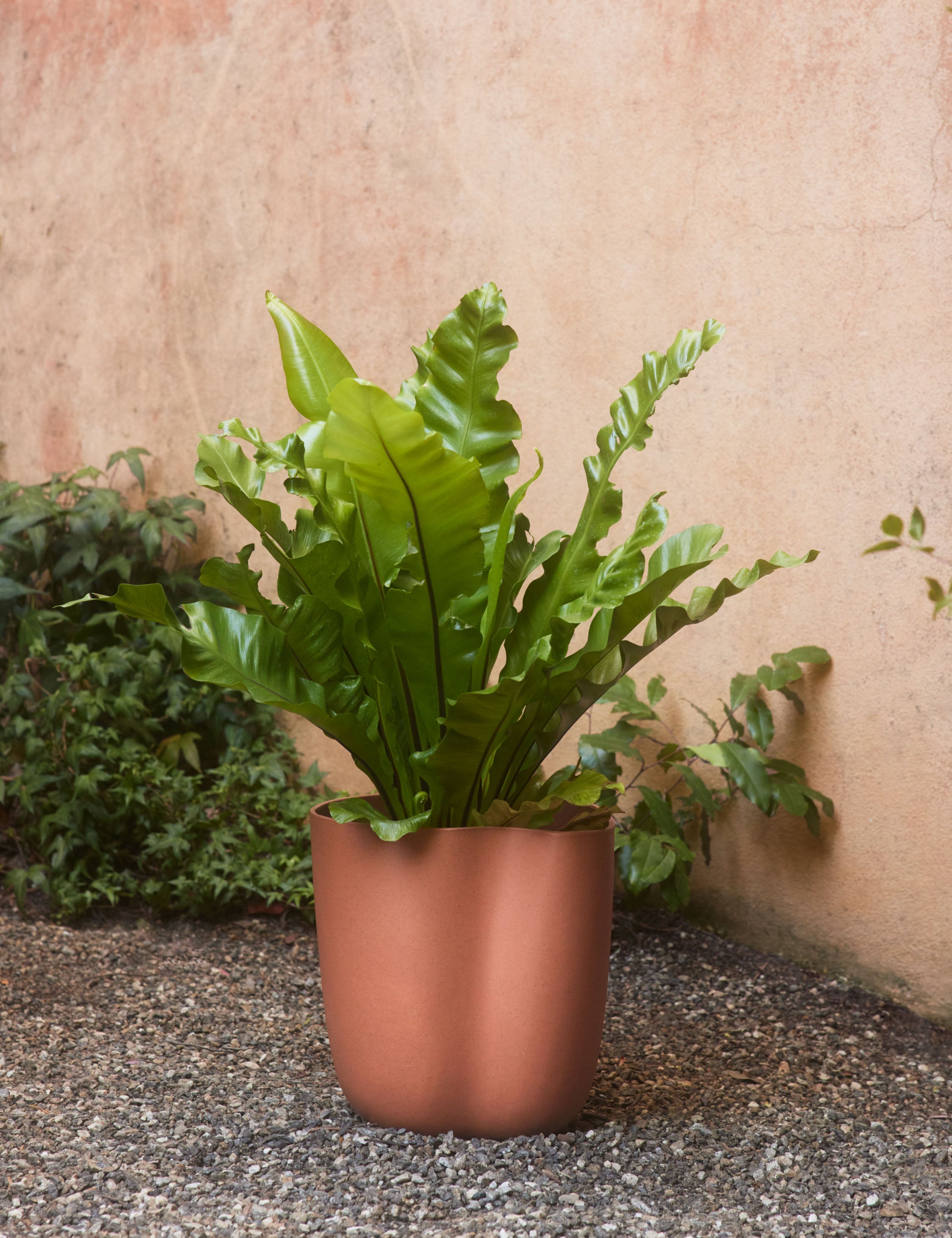 Sarah Sherman Samuel Dempsy Planter - Modern Ceramic Flower Pot for Indoor Plants, Home & Office Decor - Perfect for Succulents, Herbs & Small Houseplants