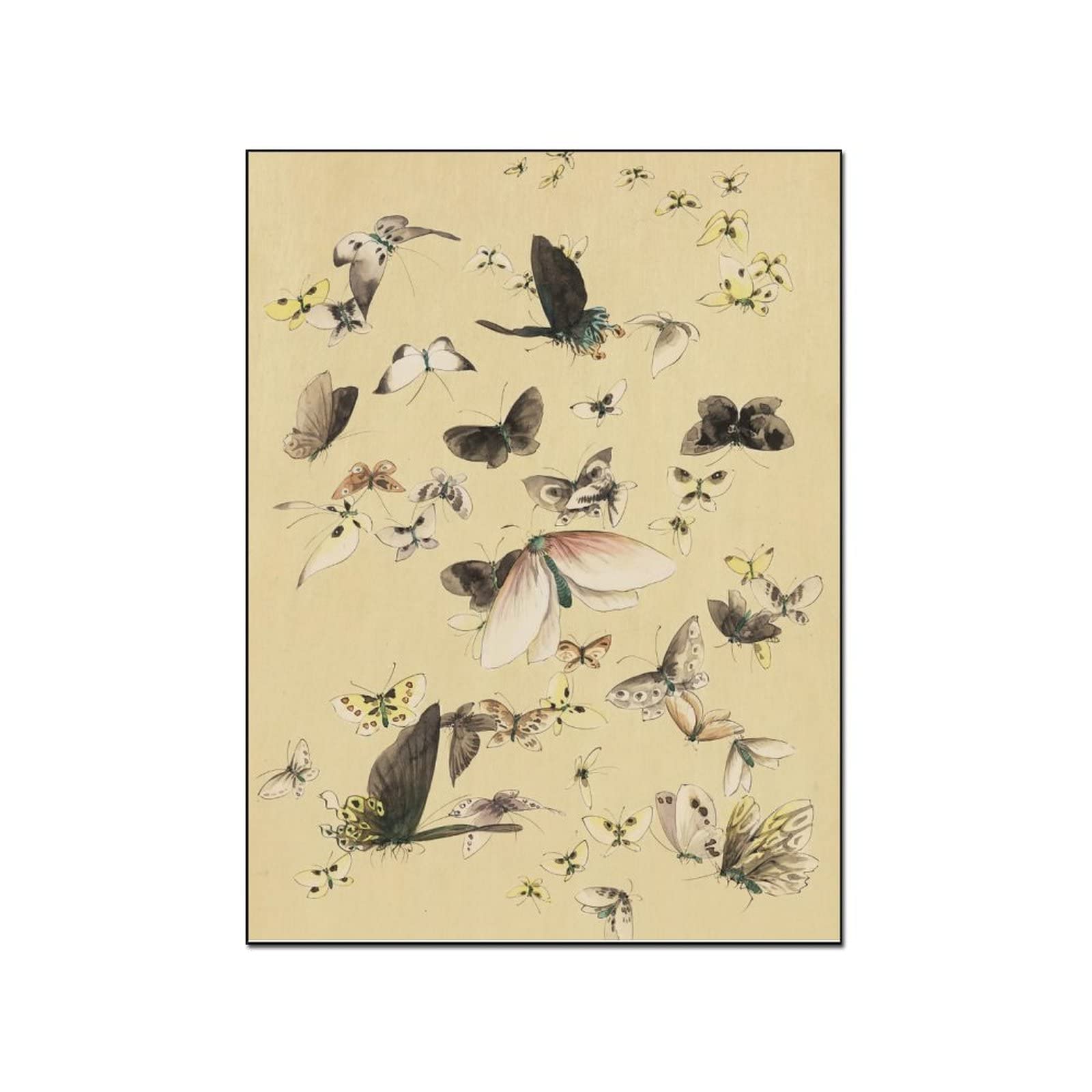 Vintage Watercolor Wildlife Butterfly & Moth Canvas Wall Art - 24x32 Inch Framed Oil Painting Print - Nature Inspired Home Decor for Living Room, Bedroom & Office - Perfect Gift for Nature Lovers