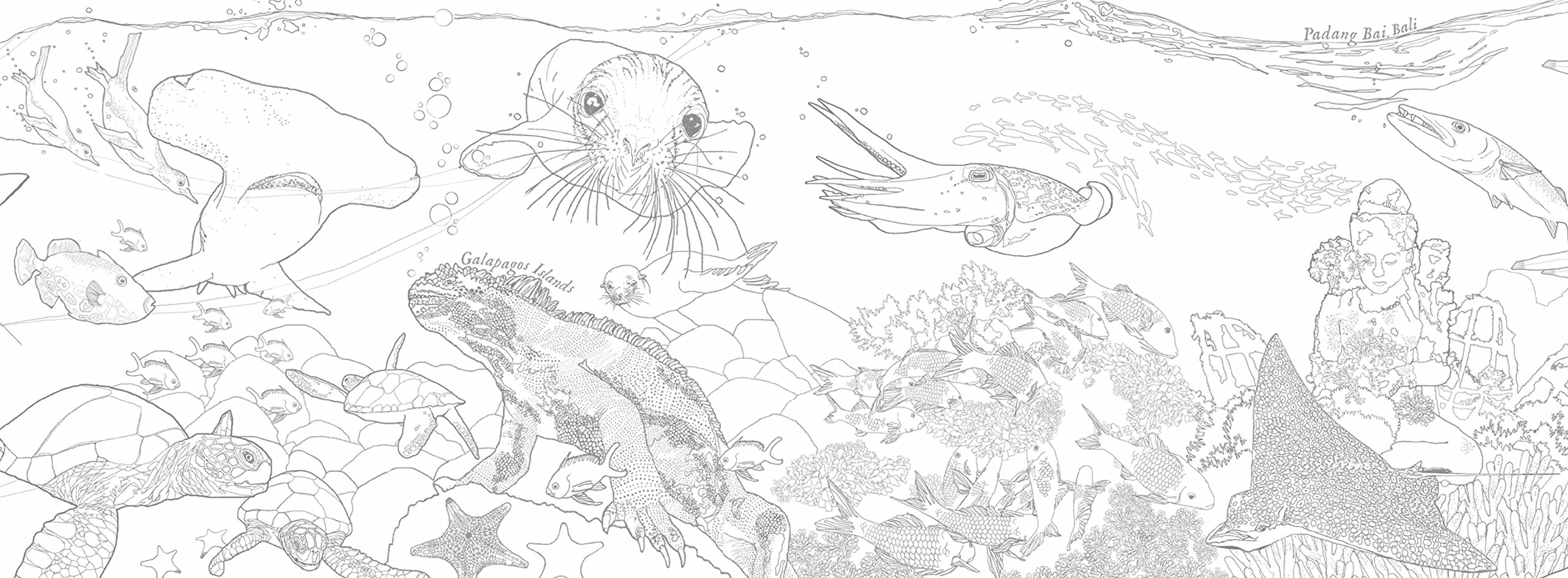 Posh Panorama Adult Coloring Book: Oceans Unfurled - Stress Relief & Mindfulness Art Therapy for Adults, Perfect for Relaxation, Meditation & Creative Expression