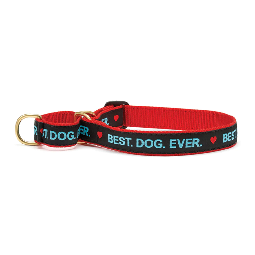 Best Dog Collar for Training & Daily Use - Durable Nylon Pet Collar with Adjustable Buckle for Small Medium Large Dogs - Perfect for Walking, Hiking & Outdoor Adventures