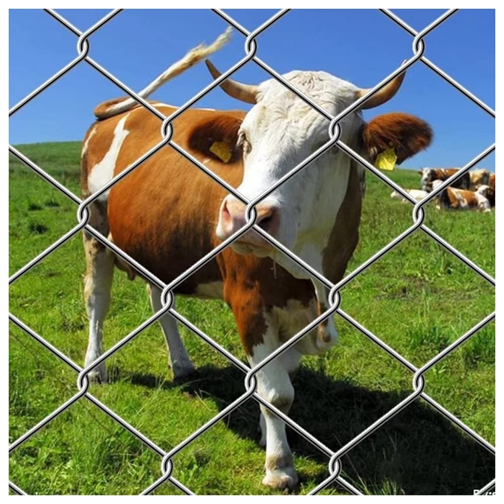 Galvanized Chicken Wire Mesh Fence 2mm Diameter - 1.2x30m Poultry Netting for Chicken Coop, Rabbit Hutch, Dog & Cat Enclosure, Vegetable Garden Protection (Silver) - Durable Outdoor Animal Fencing Solution