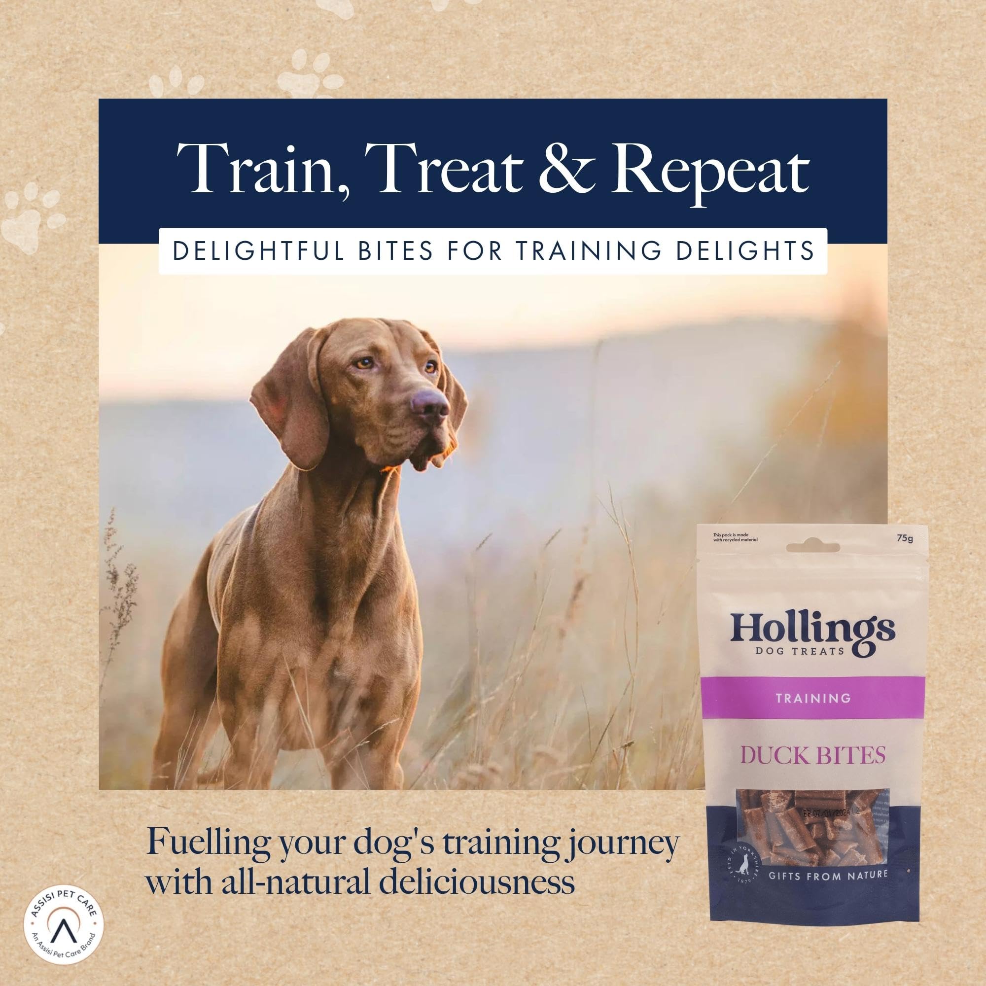 Hollings Duck Bites Dog Training Treats - High Protein, 100% Natural Duck Flavor Snacks for Adult Dogs (75g) | Perfect for Obedience Training, Reward Treats & Positive Reinforcement