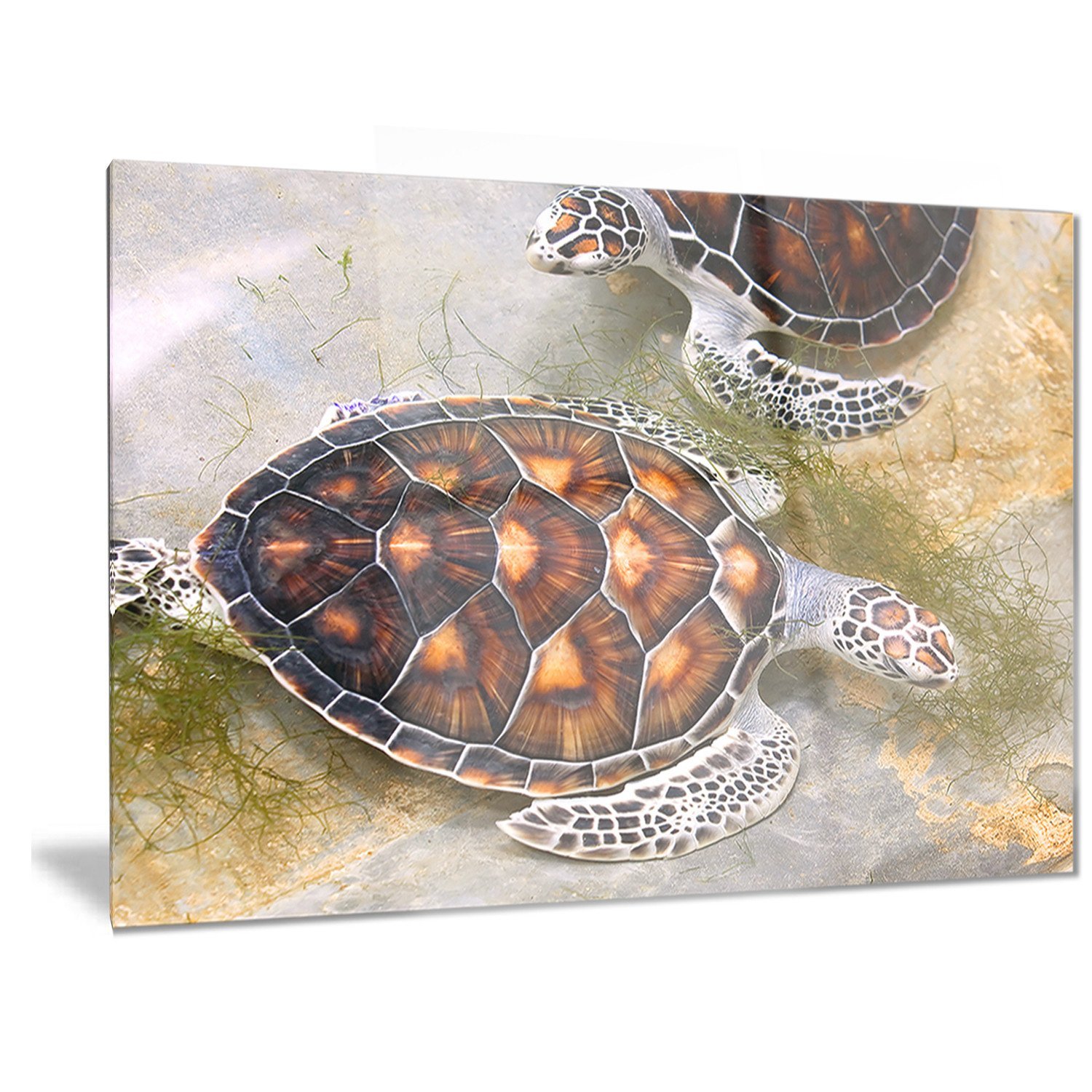 Designart Sea Turtles Nursery Animal Metal Wall Art - 12x28 Inches Coastal Decor for Kids Room, Beach House & Ocean Theme - MT6319