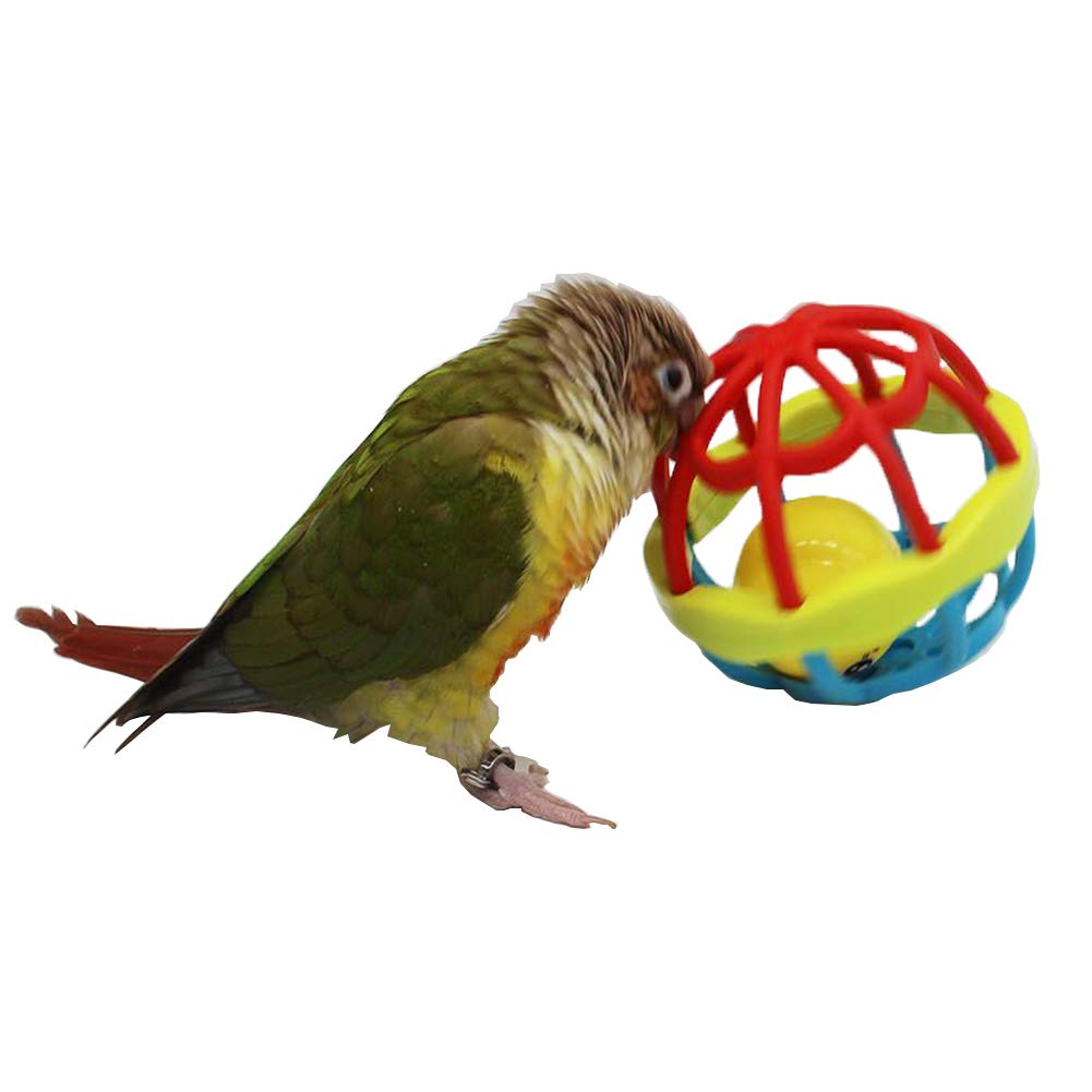 QBLEEV Bird Toys for Parrots - Plastic Chew Toys with Bells & Soft Rubber Balls - Foraging Foot Talon Toy for Training - Cage Accessories for Cockatiels, Budgies, Conures & Cats - Perfect for Chewing, Beak Grinding & Playtime Enrichment