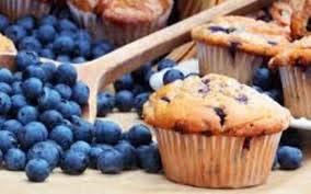 Premium Blueberry Muffin Loose Leaf Tea with Real Dried Blueberries & Yogurt Bits - 5lb Bulk - Gourmet Dessert Tea for Afternoon Tea, Brunch & Relaxation