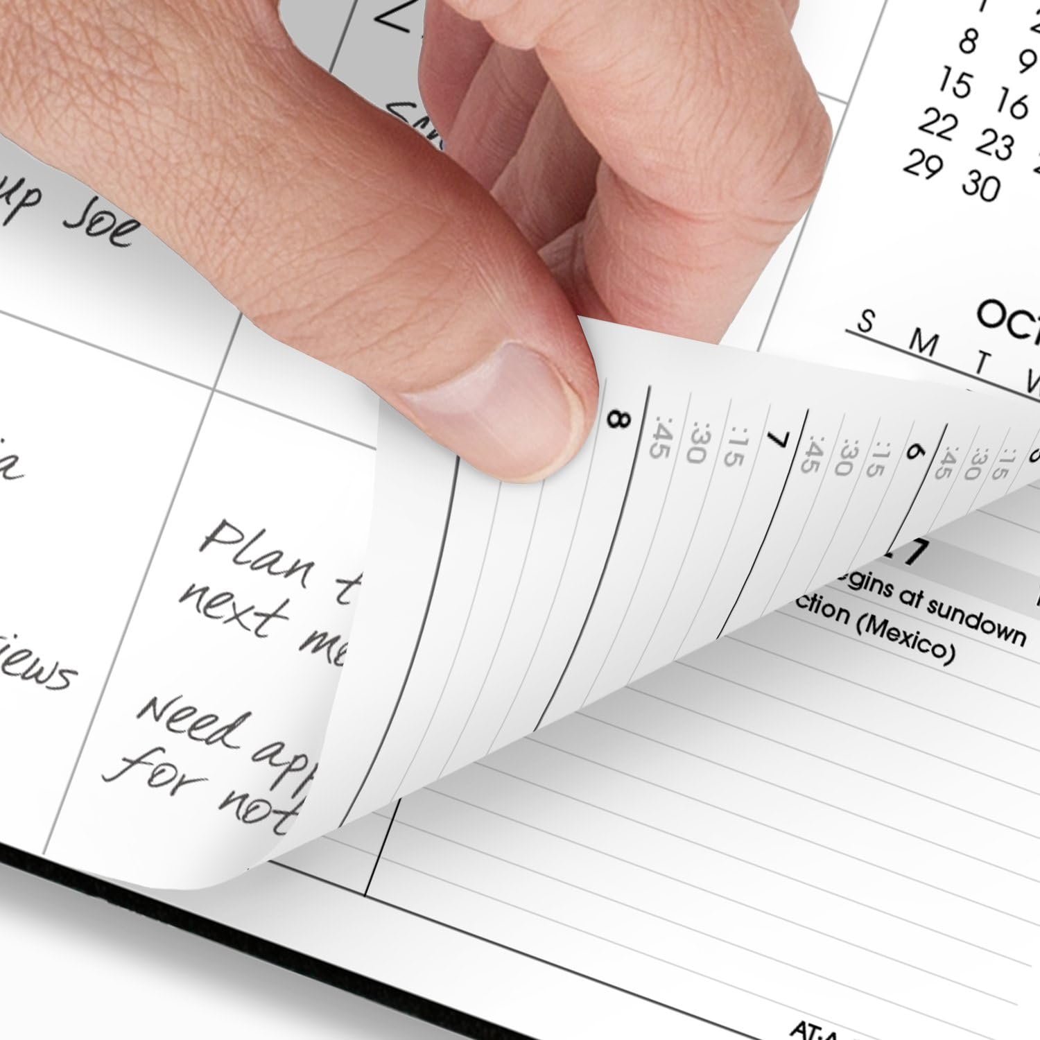 AT-A-GLANCE 2024-2025 Academic Planner - Weekly & Monthly Calendar with Quarter-Hourly Appointment Scheduling, 9