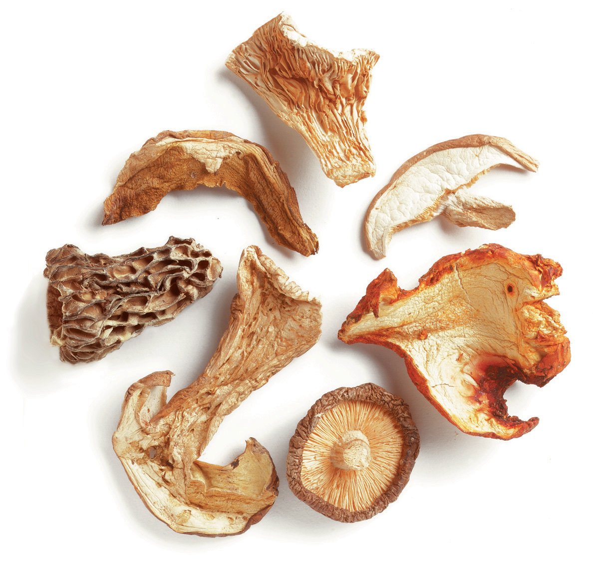 Premium D'Allesandro Northwoods Dried Mushroom Blend - 1 lb Gourmet Mix of Lobster, Shiitake, Porcini, Morels, Oyster & Boletes | Perfect for Soups, Risottos, Pasta & Gourmet Cooking