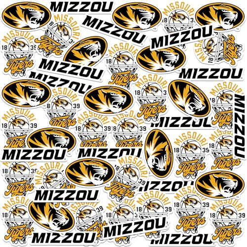 University of Missouri
