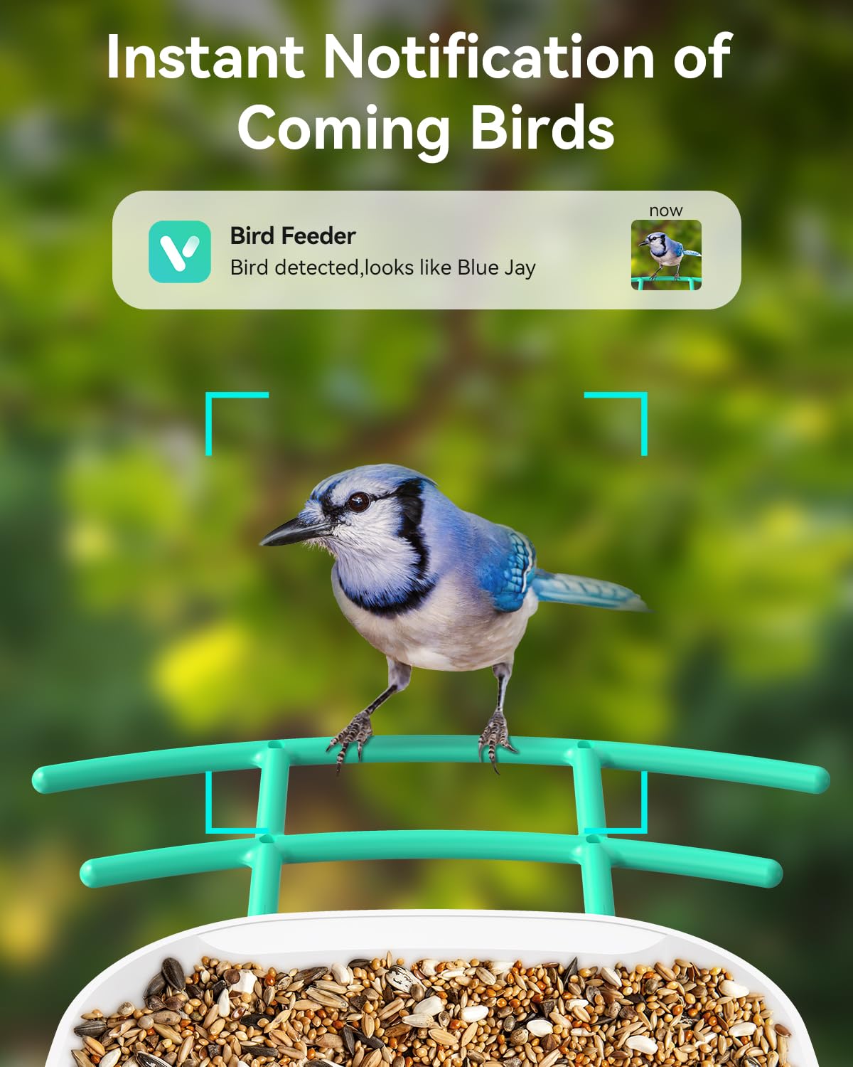 WUIPET Wireless Outdoor Bird Feeder with Camera - Solar Powered, Auto Video Recording & Instant Alerts - Perfect Gift for Bird Lovers (Orange, WP02) - Ideal for Backyard Birdwatching & Wildlife Monitoring