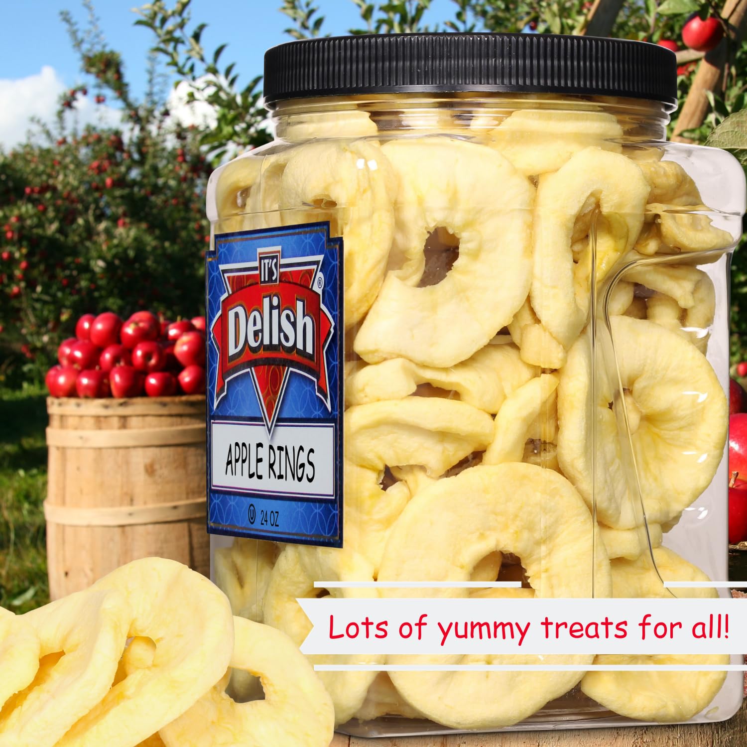 Unsweetened Dried Apple Rings by Its Delish - 24oz Jumbo Pack | No Sugar Added, Vegan & Kosher Certified | Soft Moist Apple Slices for Healthy Snacking | Perfect for Lunchboxes, Hiking & On-the-Go Nutrition