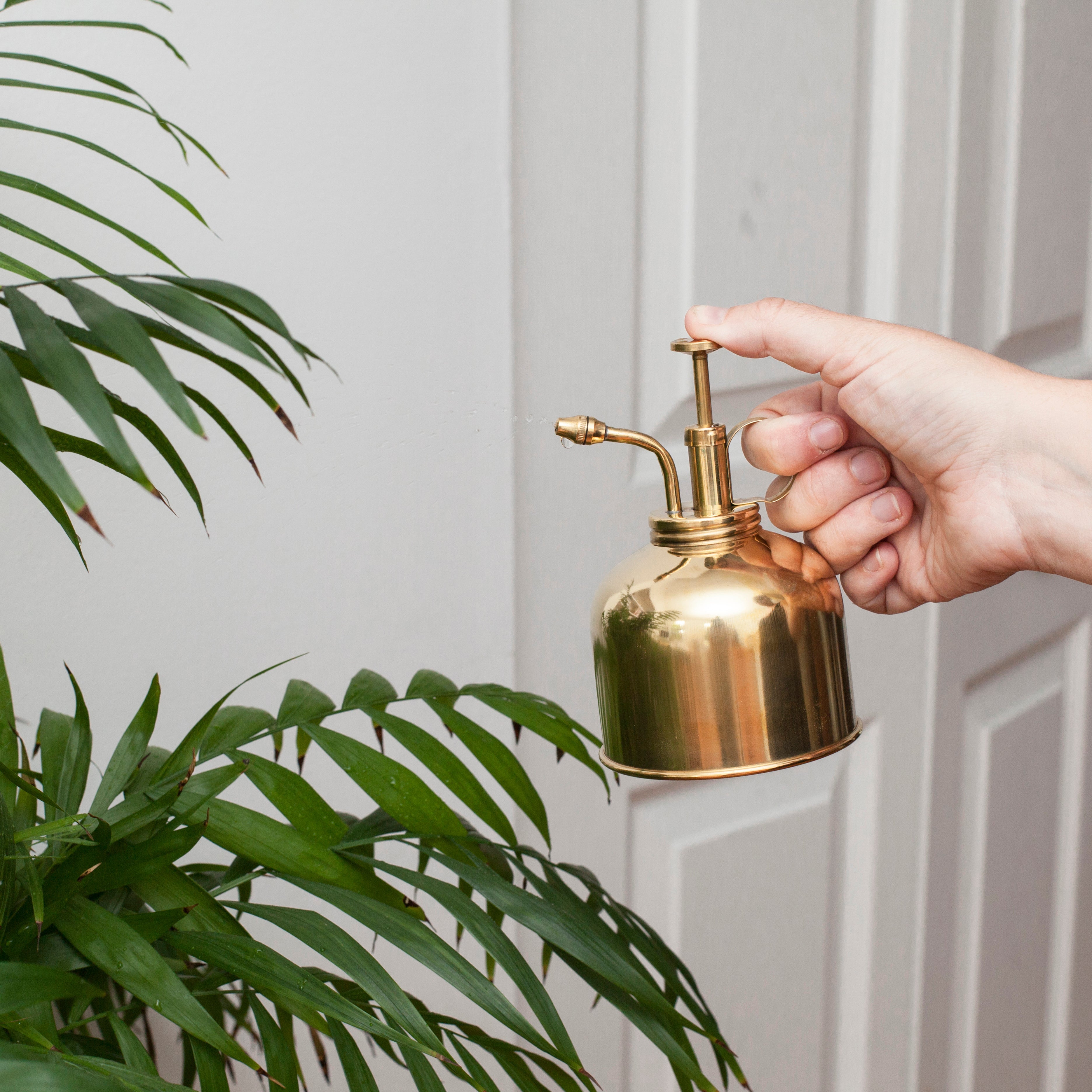 Premium Brass Plant Mister - Elegant Handheld Spray Bottle for Indoor Plants, Succulents & Orchids | Perfect for Home Gardening, Terrariums & Plant Care