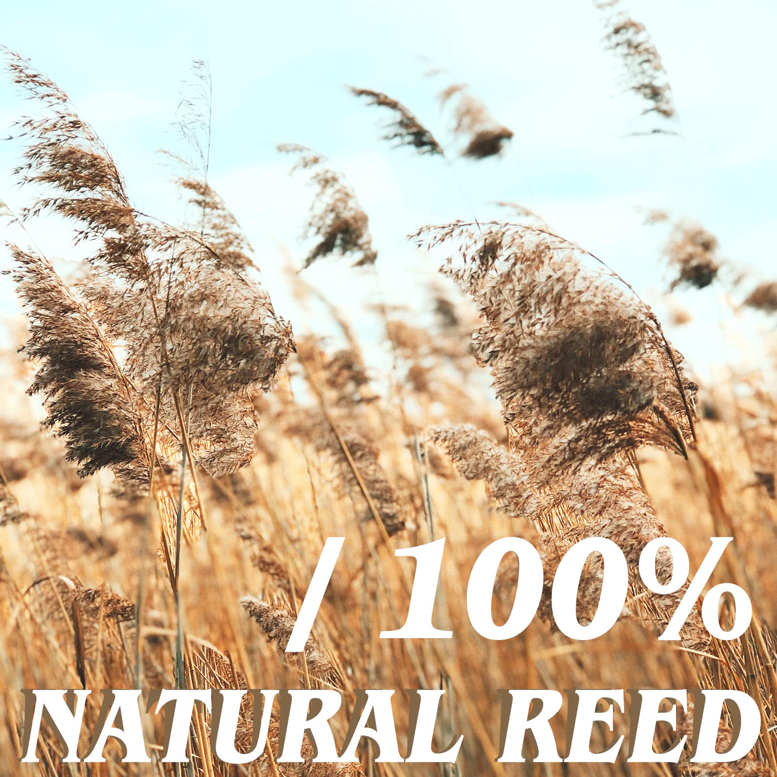 5.5FT x 16.4FT Natural Bamboo Reed Fencing Rolls - Outdoor Privacy Screen for Backyard, Patio & Garden Cover | Durable Reed Curtain Fence for Deck, Poolside & Landscape Design