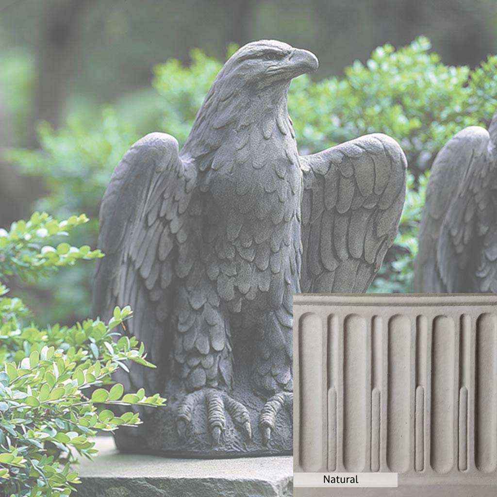 Campania International Eagle Looking Left Statue - Bronze Eagle Sculpture for Home & Office Decor - Perfect for Garden, Patio, or Indoor Display