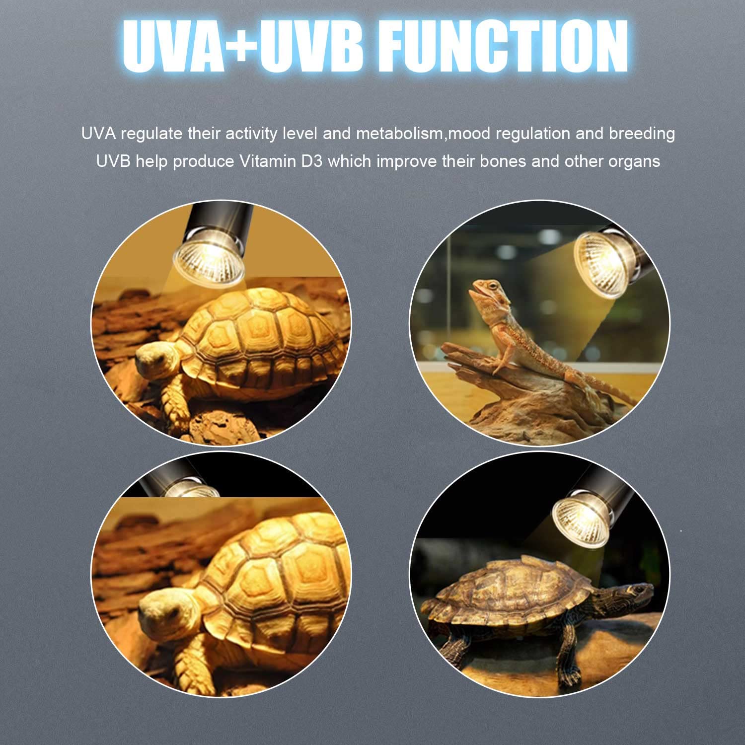 Reptile Heat Lamp with Timer - UVA UVB Basking Light for Turtles & Lizards - Dimmable 25W/50W Heat Lamp with 360° Adjustable Clamp - Perfect for Terrariums, Vivariums & Reptile Habitats