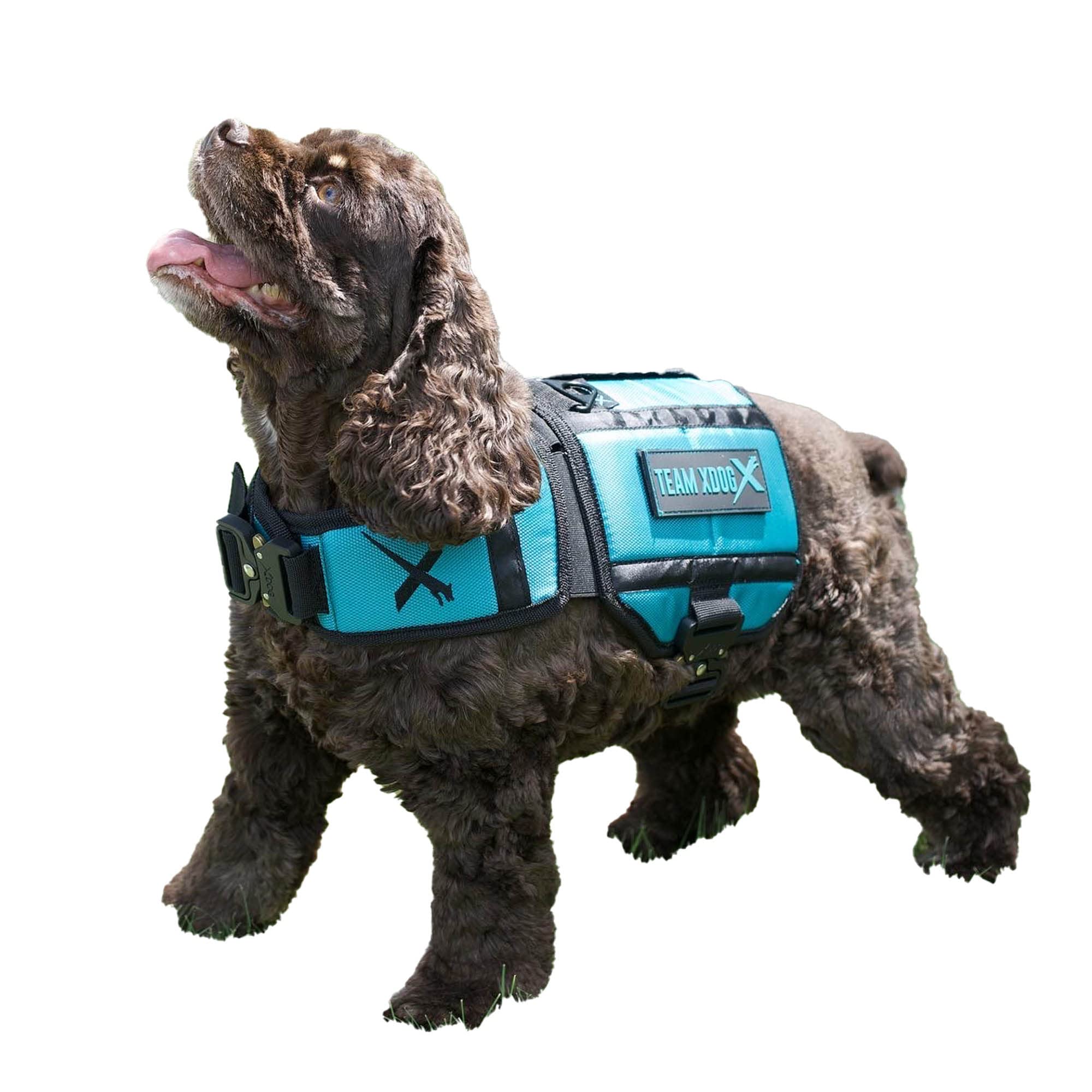 Xdog Weighted Dog Vest - Fitness Training Harness for Anxiety Relief & Behavior Control | Build Muscle, Improve Performance & Mental Health Support | Warming & Cooling Compression Therapy for Active Dogs, Training & Outdoor Adventures