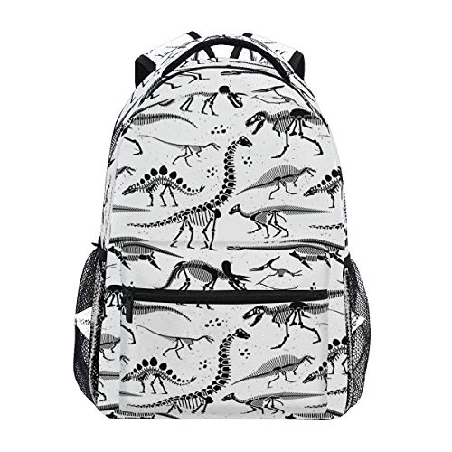Dinosaur Black