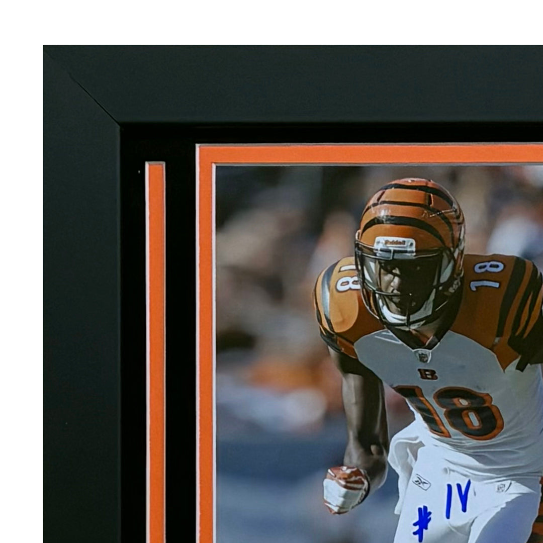 AJ Green Autographed Cincinnati Bengals 8x10 Football Photo - Hand Signed & Framed - Perfect for Sports Memorabilia Collectors and Bengals Fans Display