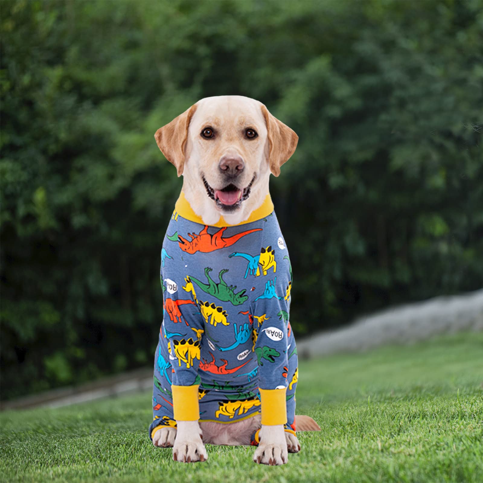 Post-Surgery Dog Recovery Suit for Medium & Large Dogs - Soft Spay Neuter Onesie to Prevent Licking & Shedding | Alternative to Dog Cone | Perfect for Post-Op Care, Wound Protection & Comfortable Healing