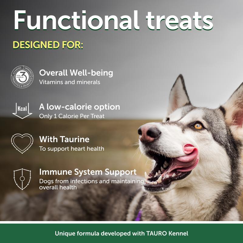 Premium High-Protein Dog Treats with Insects & Rice - Supports Endurance & Muscle Health for Active Adult Dogs - Perfect for Training, Hiking & Outdoor Adventures