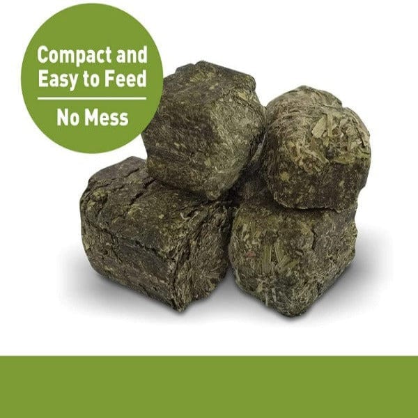 Living World Alfalfa Chews for Small Animals - Healthy Natural Treat for Rabbits, Guinea Pigs & Hamsters - Perfect for Chewing & Dental Care - Indoor & Outdoor Pet Snack