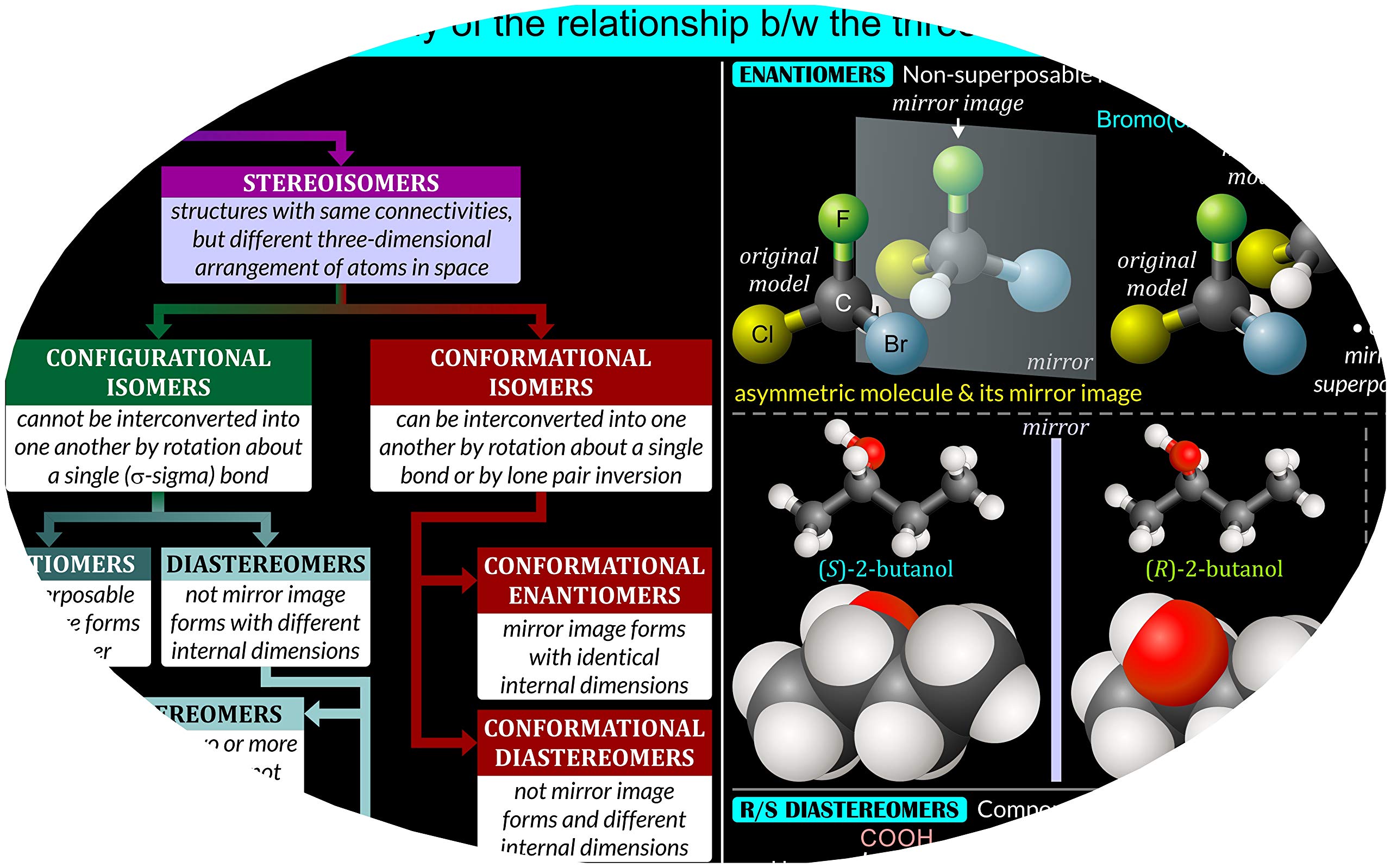2IN1 Organic Chemistry Poster with Functional Groups & Isomers - 20x30 Inch Laminated Photo Art Print - Wet & Dry Erase Safe | Science Classroom Decor, Study Aid for Students, Lab Reference Chart
