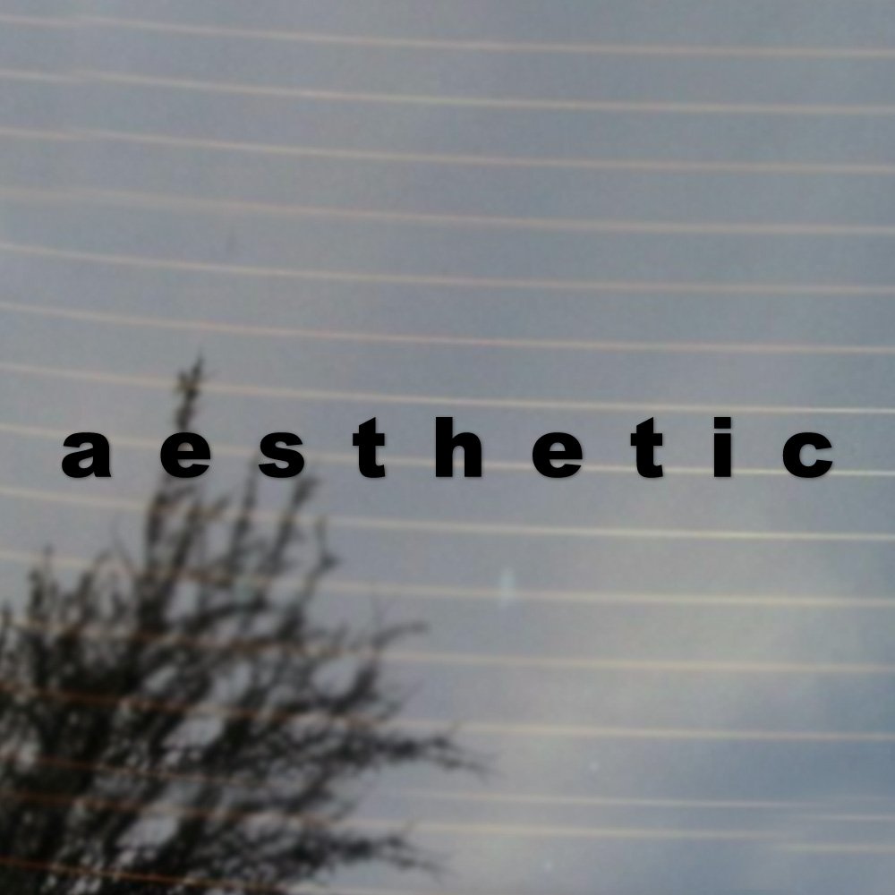 Vaporwave Aesthetic Vinyl Decal for Cosplay & Fan Gear - Black | Perfect for Laptops, Cars & DIY Projects