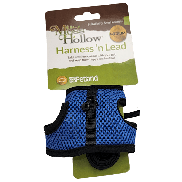 Premium Moss Hollow Dog Harness and Leash Set – Adjustable, Durable & Comfortable for Small to Medium Dogs – Perfect for Walking, Training & Outdoor Adventures