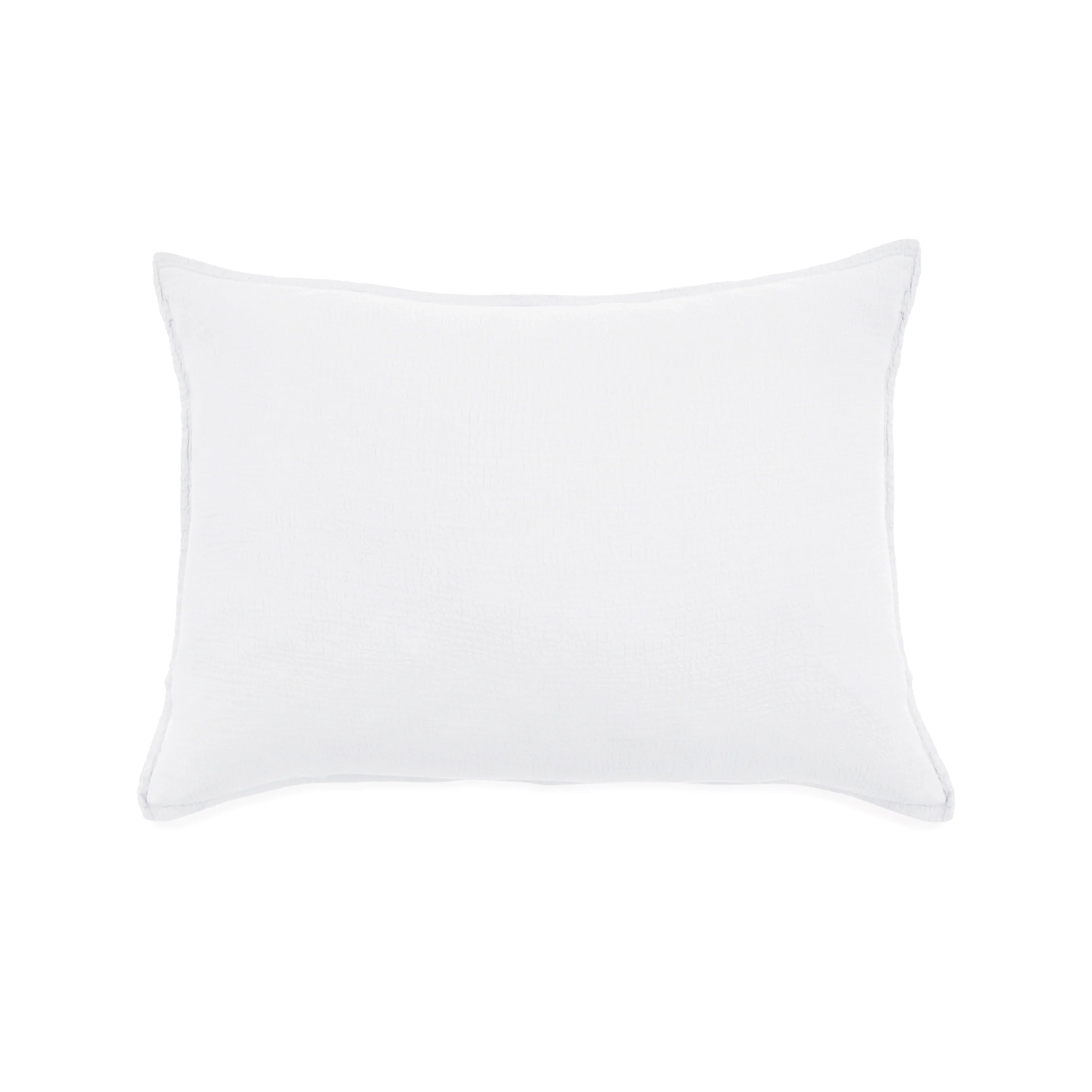 Waverly Oversized Decorative Pillow with Insert - Perfect for Living Room Sofa, Bedroom Decor & Cozy Home Styling