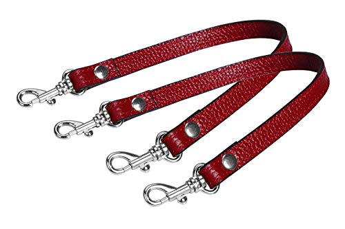 Purplish Red-Silver Locks