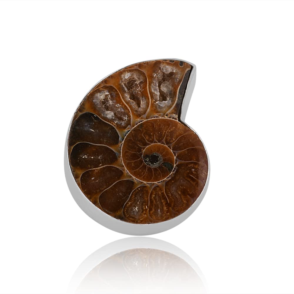 PANOPLY Ammonite Solid 925 Sterling Silver Ring for Women - Elegant Jewelry Gift for Mom, Wife, Girlfriend - Perfect for Birthday, Anniversary, Wedding & Christmas - Size 9.5 - Ideal for Everyday Wear & Special Occasions