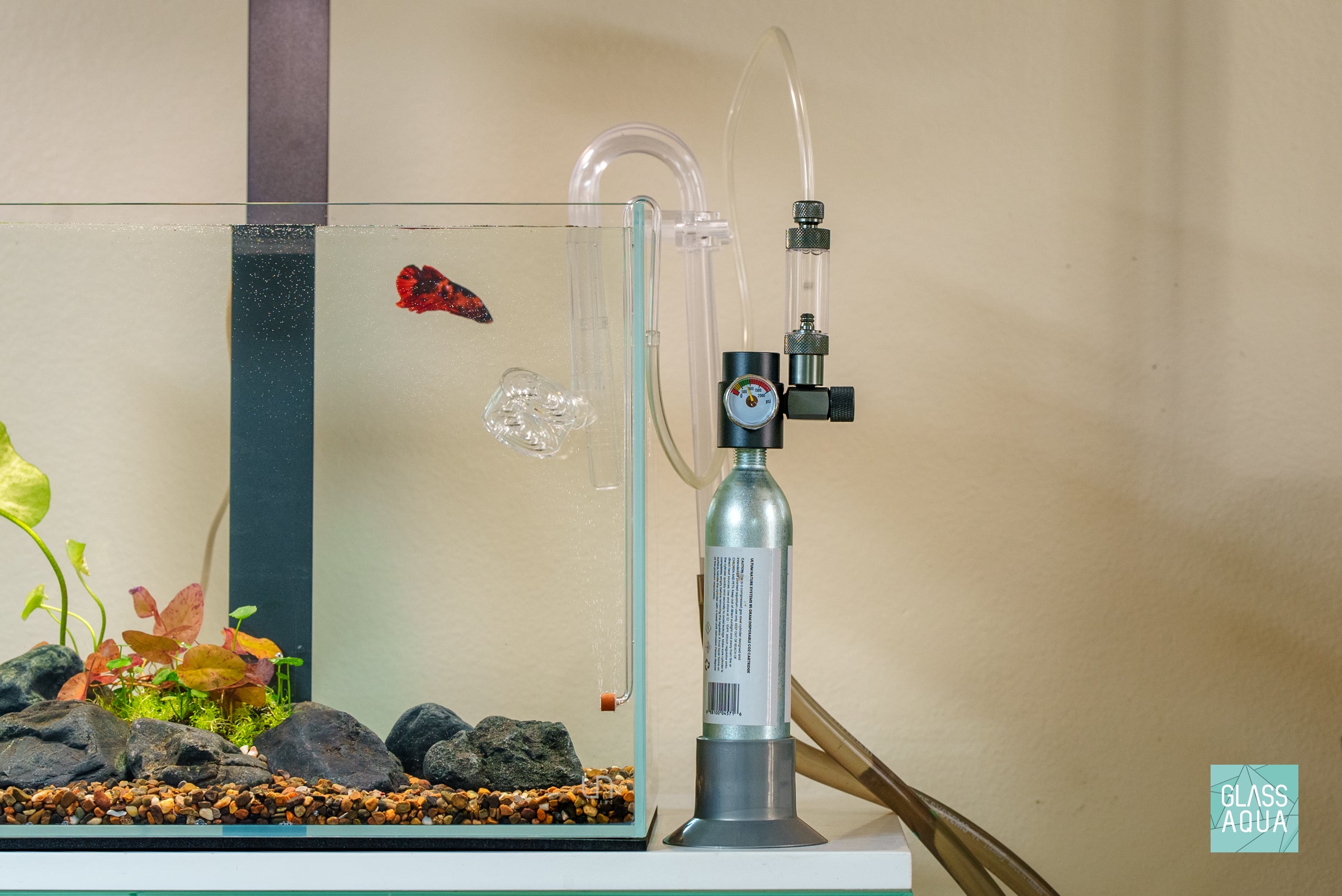 UNS Micro CO2 Regulator Kit for Aquarium Plants - High Precision CO2 System for Planted Tanks & Aquatic Gardens
