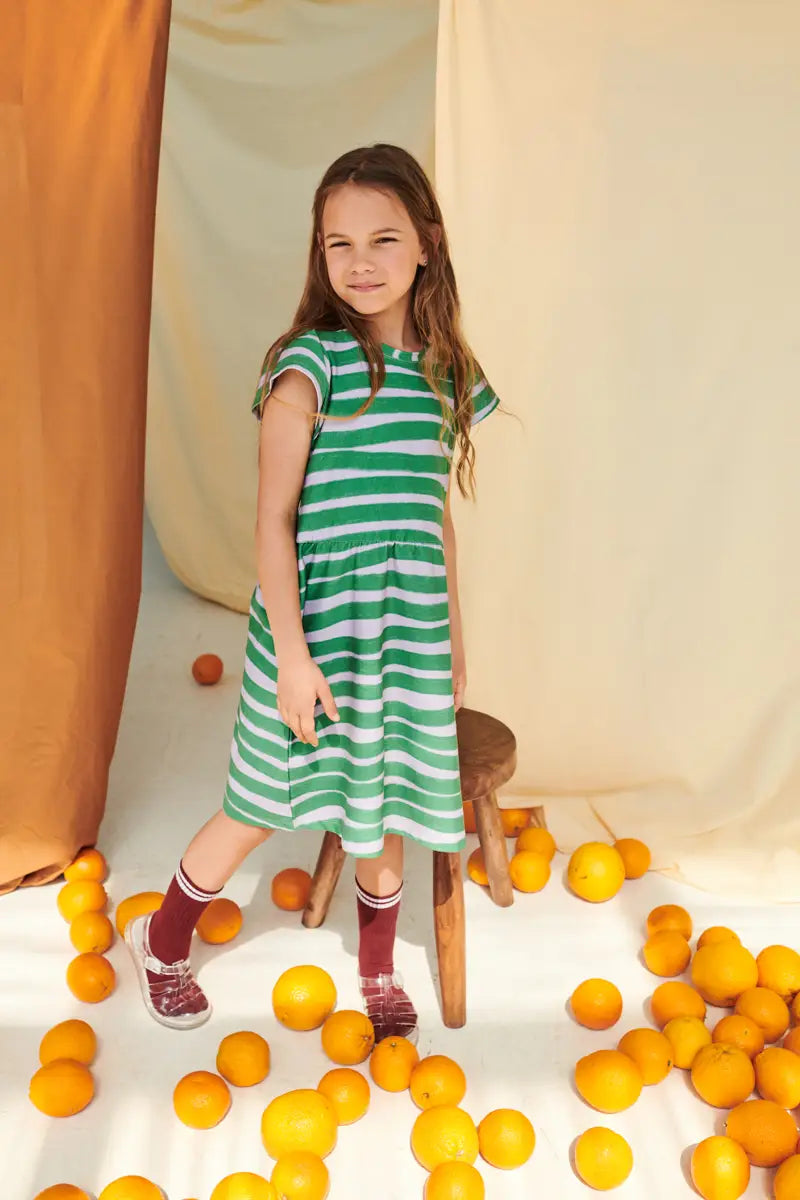 Don't Grow Up Organic Cotton Striped Dress with Ruffle Sleeves - Perfect for Kids Birthday Parties, Family Photos & Special Occasions