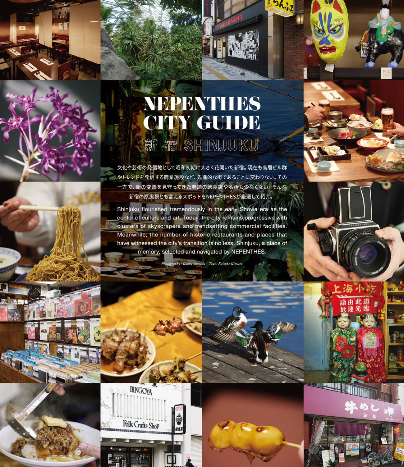Nepenthes In Print – Issue 20 | Rare Carnivorous Plant Magazine | Perfect for Botanical Enthusiasts & Collectors