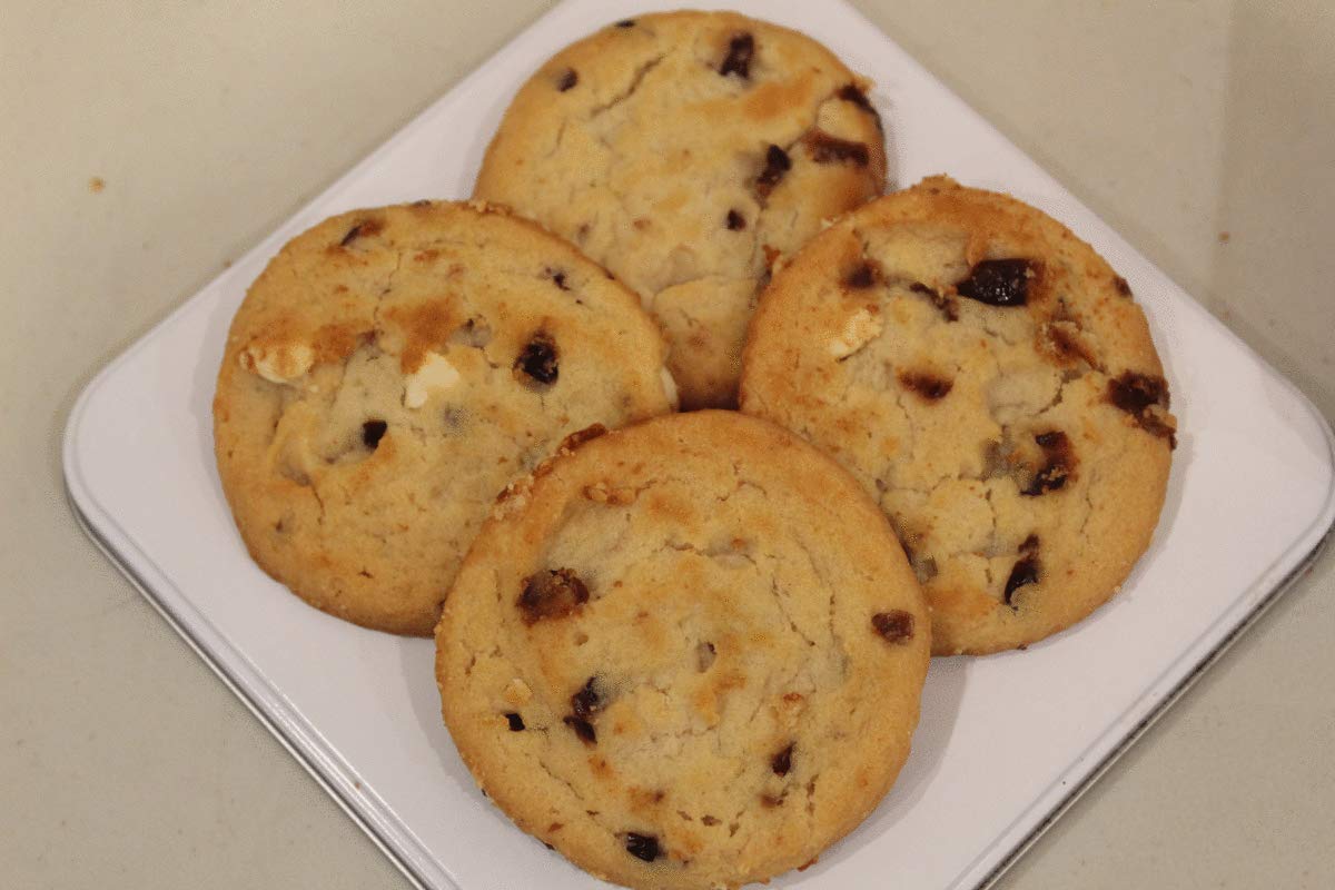 Fresh Baked Dairy S'mores Chocolate Chip Cookies with Marshmallows | Gimmee Jimmy's Cookies - 8 Pound Bulk Pack in Decorative Cookie Tin | Perfect for Parties, Gifts & Holiday Treats