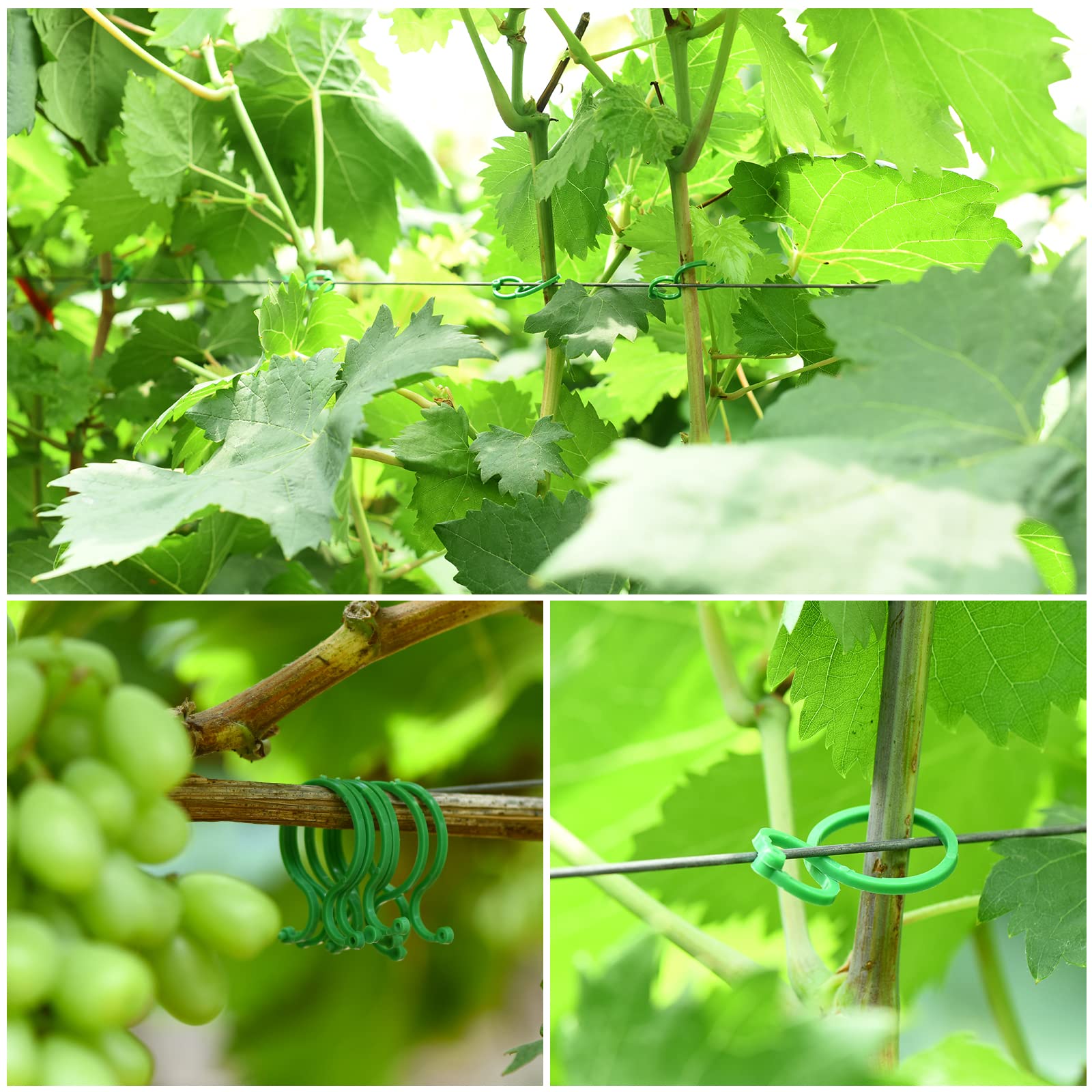 80 Feet Soft Plant Ties - Green Twist Ties with 20 PCS Clips for Gardening, Home Organization & Plant Support - 3mm Diameter - Perfect for Vine Training, Tomato Plants & DIY Home Decor