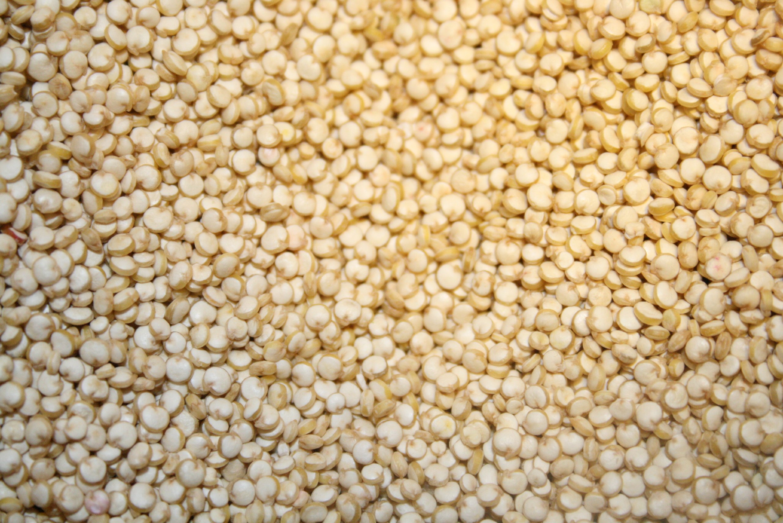 Organic Quinoa 5lb Bulk - Non-GMO, Gluten-Free Superfood for Healthy Salads, Bowls & Meal Prep