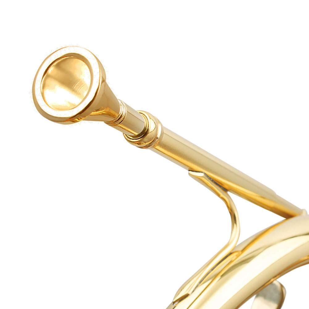 Professional Brass Horn Mouthpiece Replacement - High-Quality Horn Accessories for Trumpet & Brass Instruments | Perfect for Novice & Advanced Players - Band, Orchestra & Solo Performances