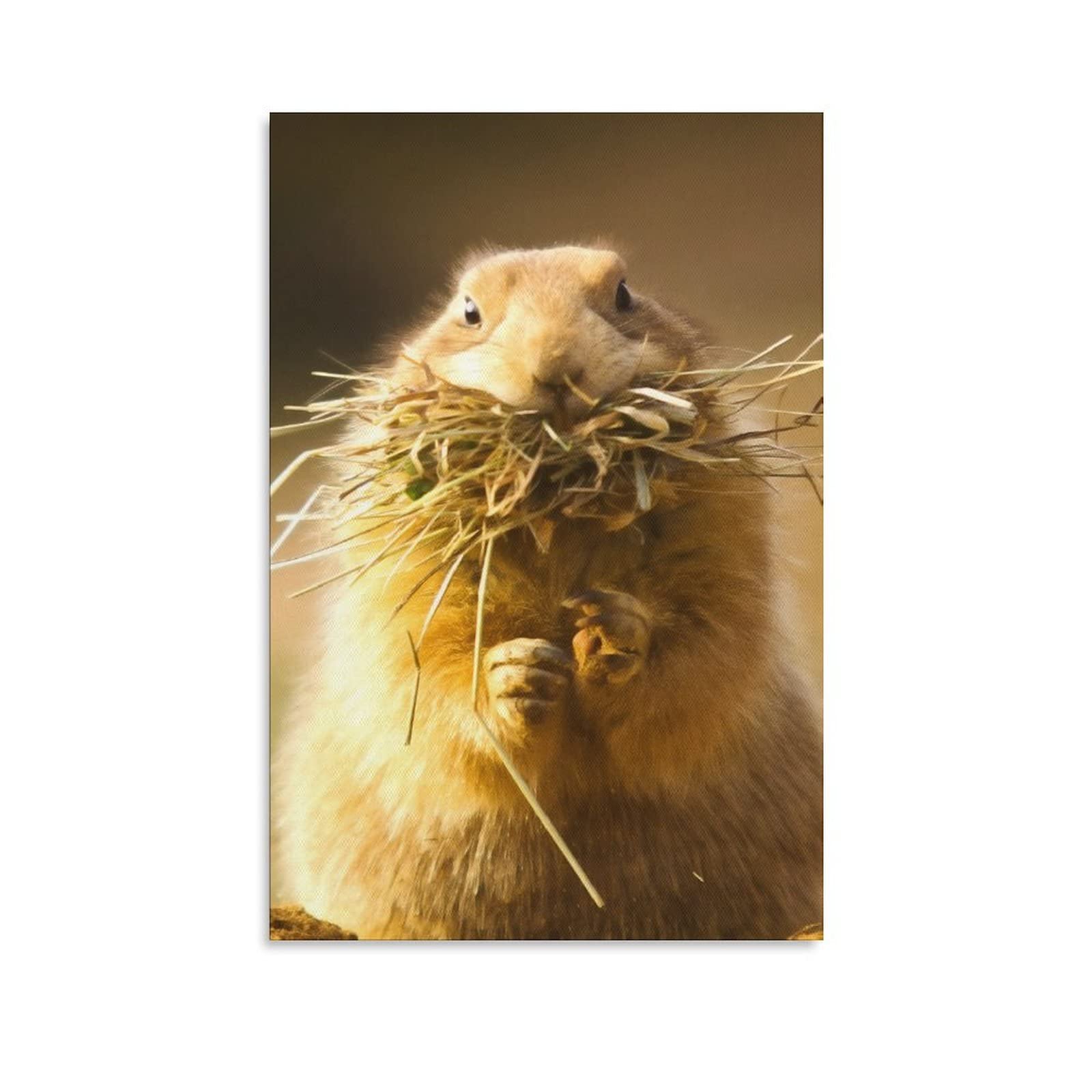 Cute Groundhog Eating Hay Canvas Poster - Grassland Animal Wall Art for Living Room, Bedroom & Office Decor - Perfect Gift for Nature Lovers & Home Decoration