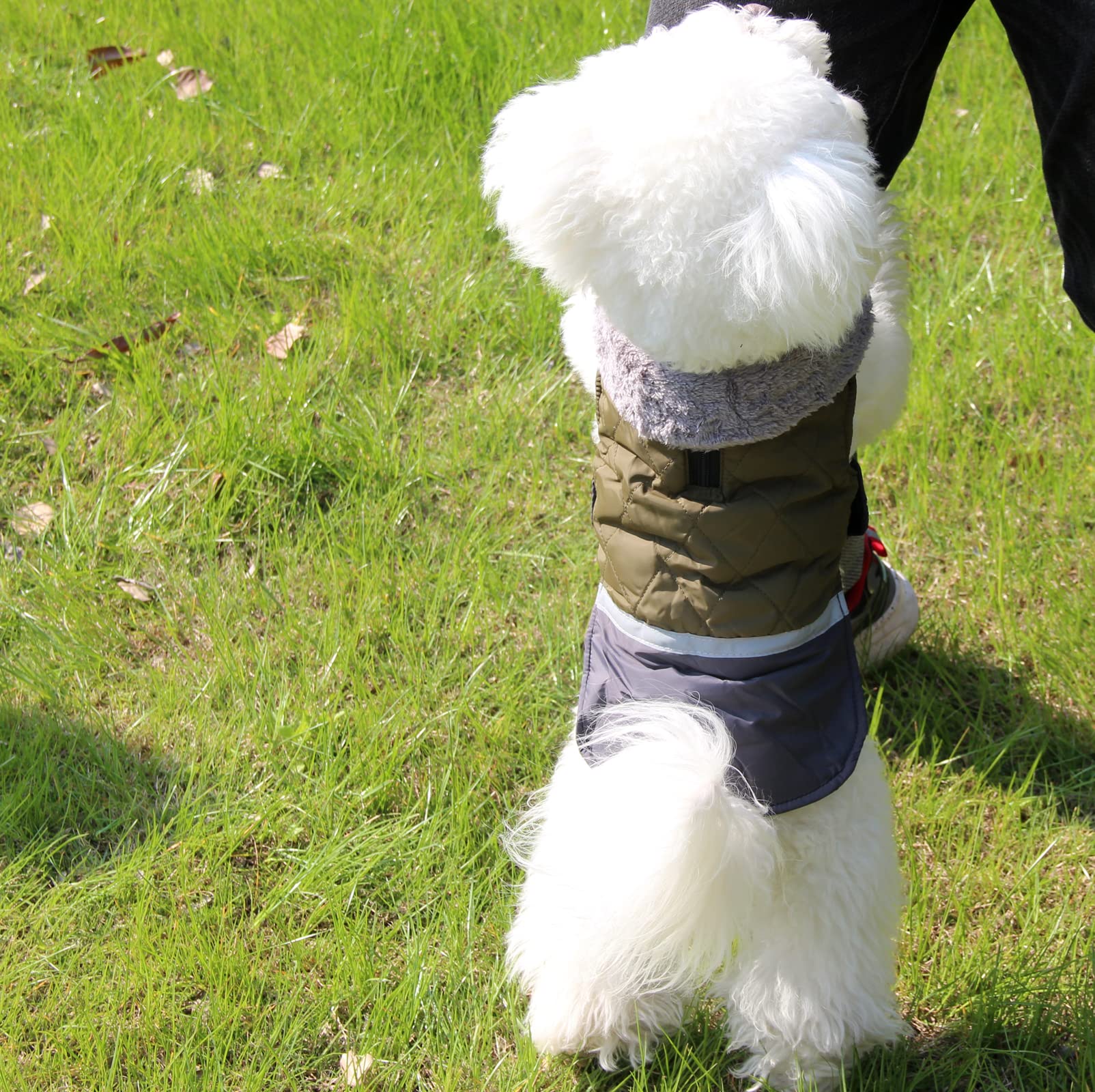 Waterproof Reversible Fleece Dog Coat for Small Dogs - Warm Puppy Jacket for Cold Winter (Green) | Perfect for Outdoor Walks, Winter Adventures & Indoor Comfort