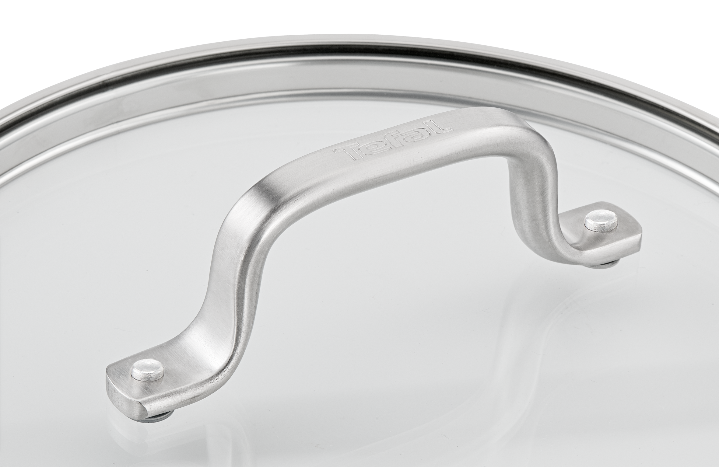 Tefal Virtuoso Stainless Steel Induction Stewpot 20cm/3.1L with Lid - Premium Cookware for Soups, Stews & Slow Cooking | Perfect for Gas, Electric & Induction Stoves